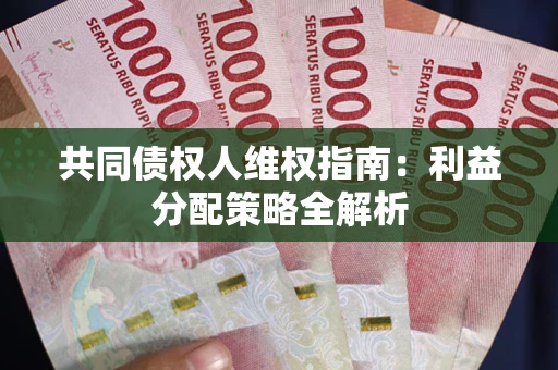 武汉共同债权人维权指南:利益分配策略全解析 武汉共同债权人维权指南:利益分配策略全解析